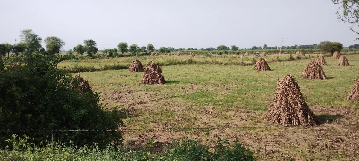 Nagla Chahar, Rajasthan 321203, India