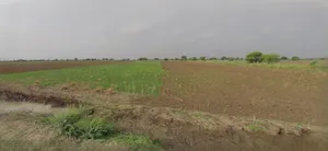 Ujjain, Madhya Pradesh, India preview 2