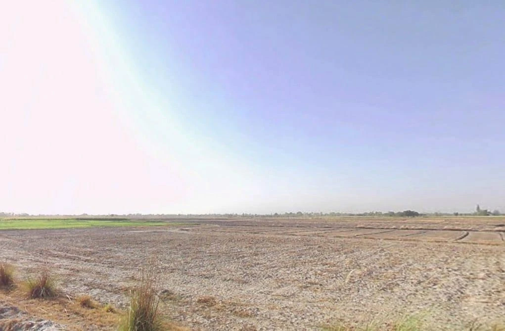 Nauli, Uttar Pradesh 232333, India