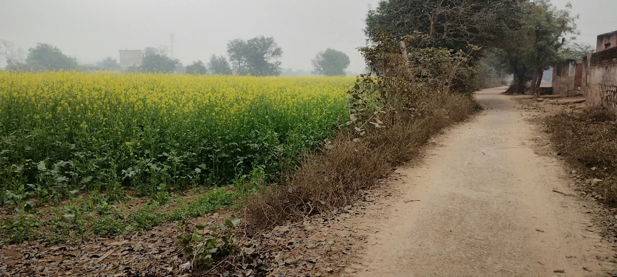Jalooki, Rajasthan, India