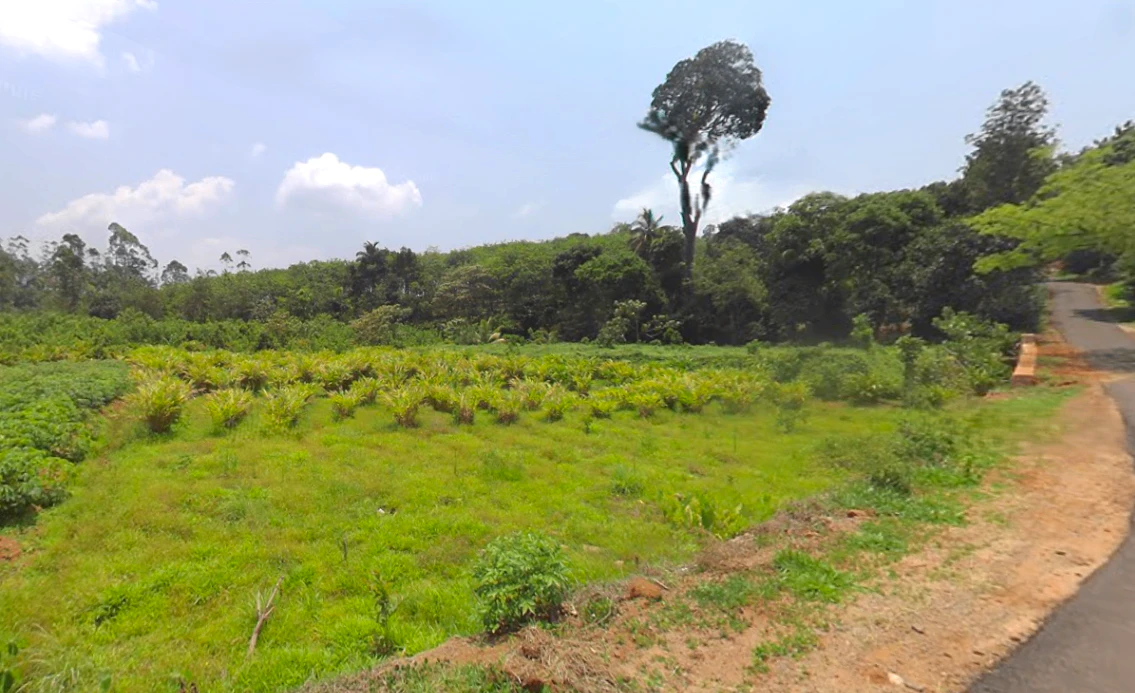 Karimban, Kerala 685602, India