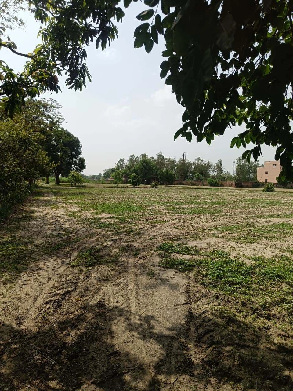 Gauhari, Uttar Pradesh 281401, India preview 3