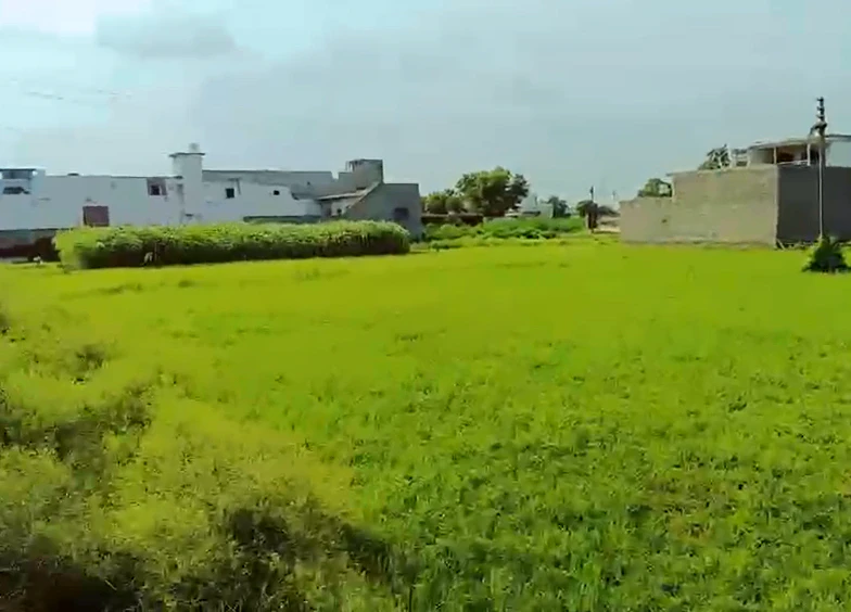 XJJ5+522, Meerut, Rampur Pawti, Afjal Pur Pawti, Uttar Pradesh 250002, India