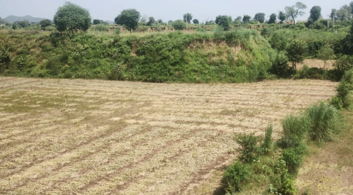 Bareti, Himachal Pradesh 177042, India