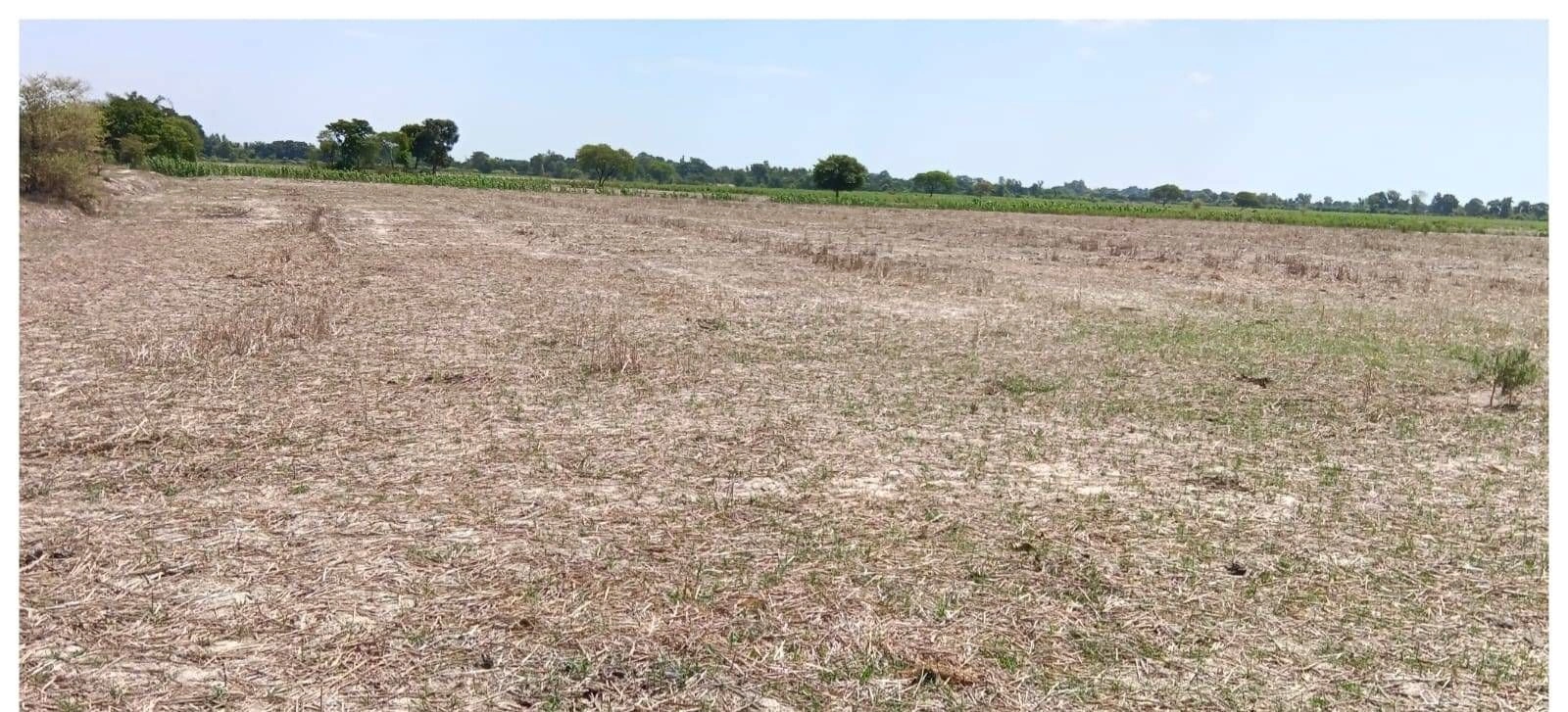 QX5G+3P Lahra Pur, Uttar Pradesh, India
