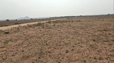 Beri - Jhajjar Marg, Jhajjar, Haryana 124103, India preview 2
