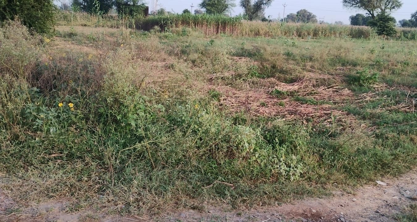 Mundawara, Rajasthan, India