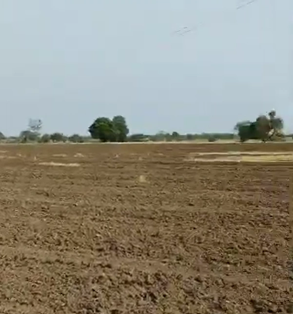 Shekhpura, Meerut, Uttar Pradesh 250002, India