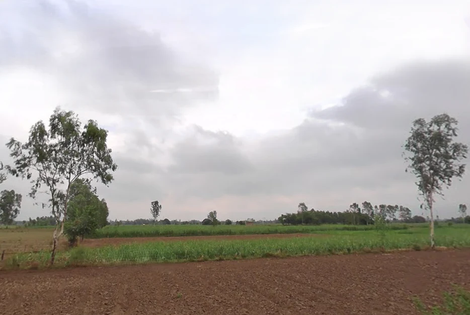 Sitarganj, Uttar Pradesh 243503, India