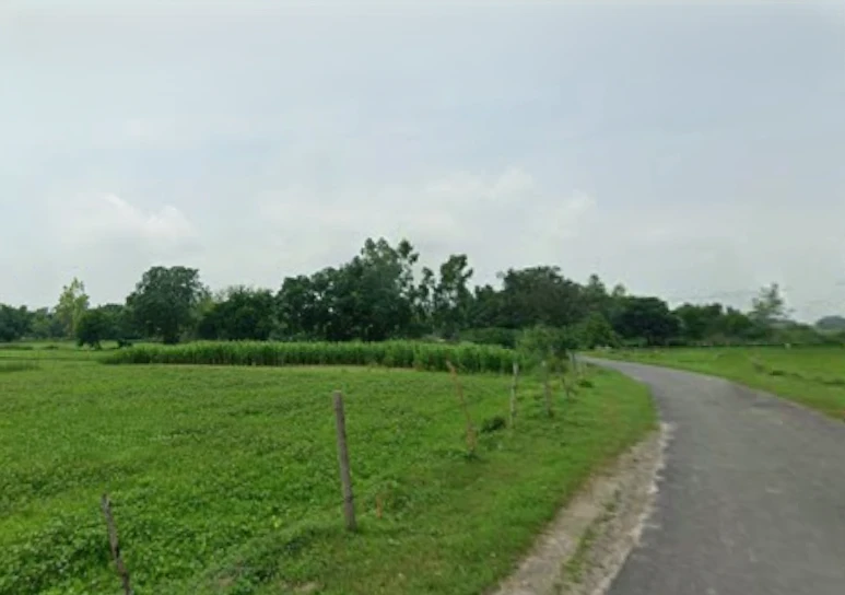 Kateharo, Uttar Pradesh 209859, India