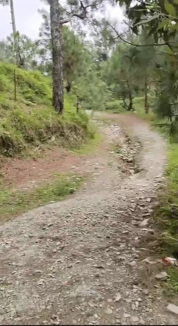 Sherpur, Dehradun, Uttarakhand, India preview 2