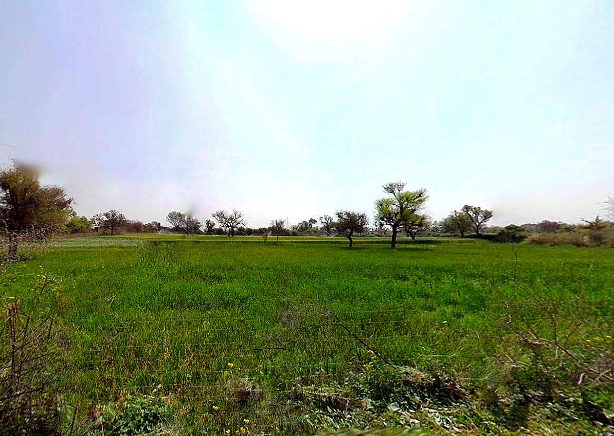 4JW8+4JW, Sardhana, Uttar Pradesh 250342, India
