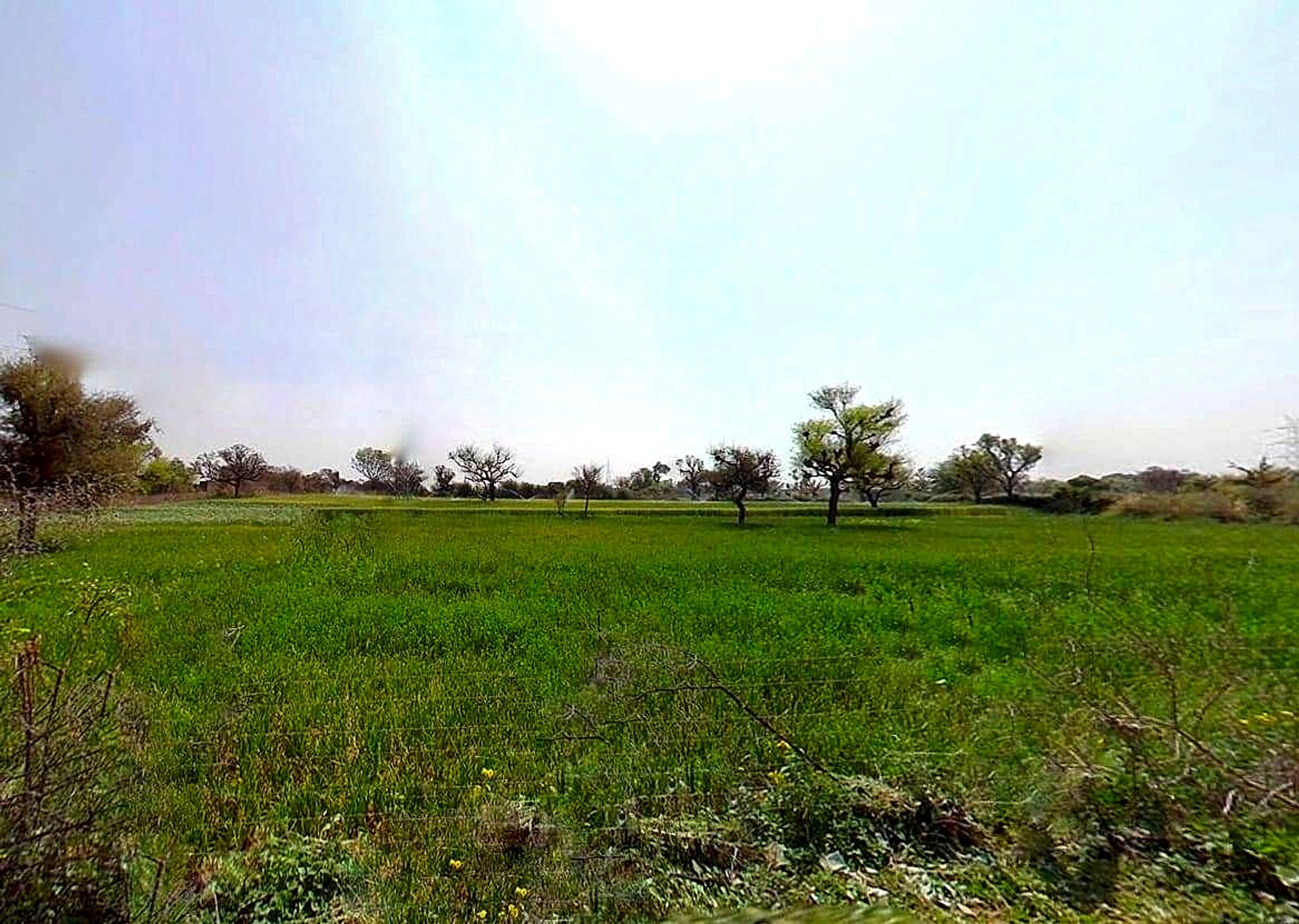 4JW8+4JW, Sardhana, Uttar Pradesh 250342, India