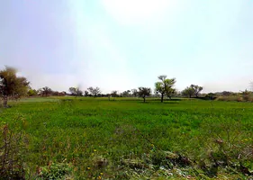 4JW8+4JW, Sardhana, Uttar Pradesh 250342, India preview 2