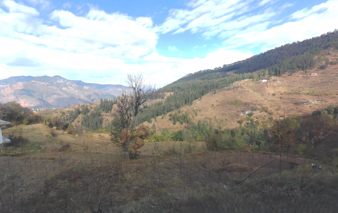 Dadahu, Himachal Pradesh 173022, India