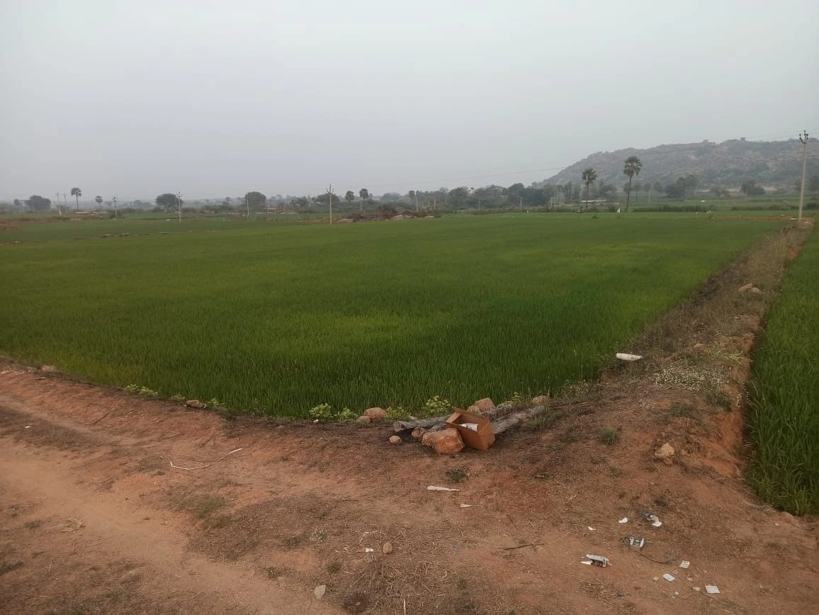 Indrapalanagar, Telangana 508112, India preview 3