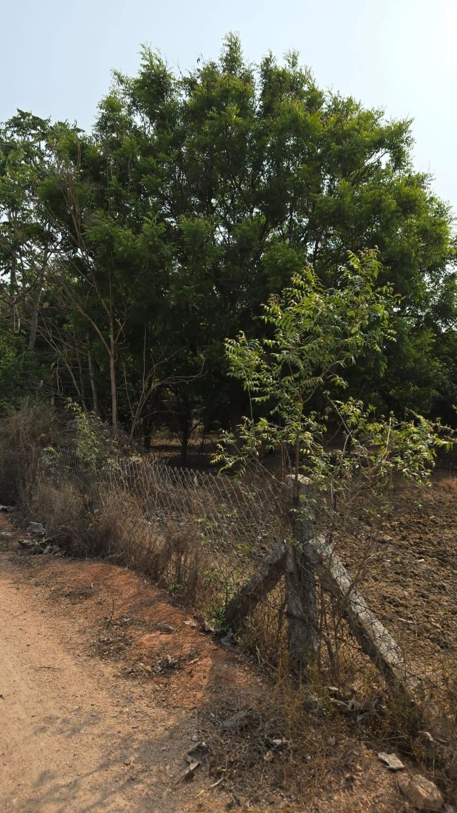 Chada, Telangana 508111, India