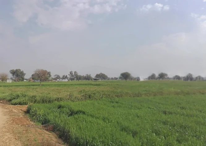 Sohanpur, Rajasthan, India