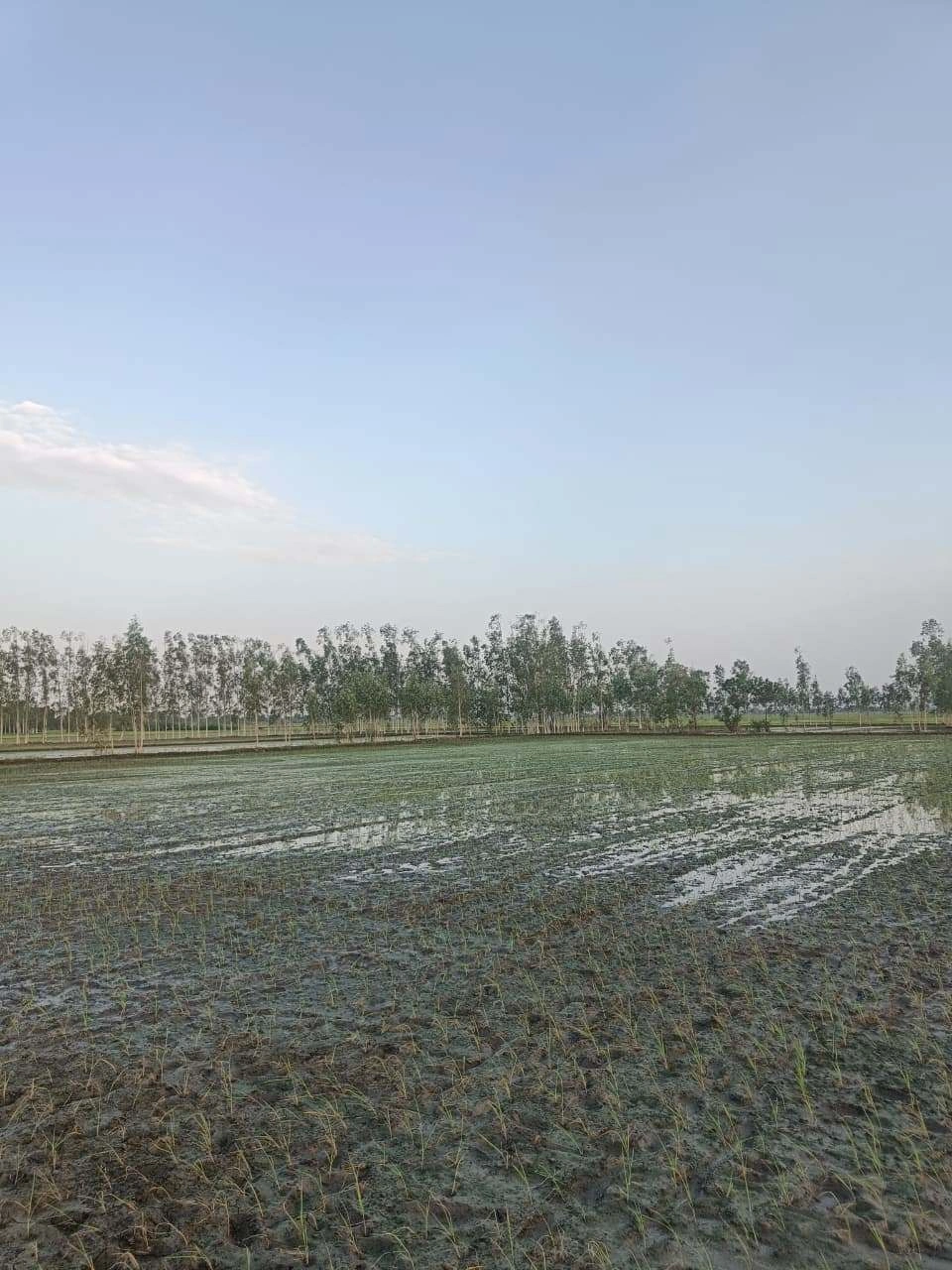 Sankhi, Uttar Pradesh 281401, India