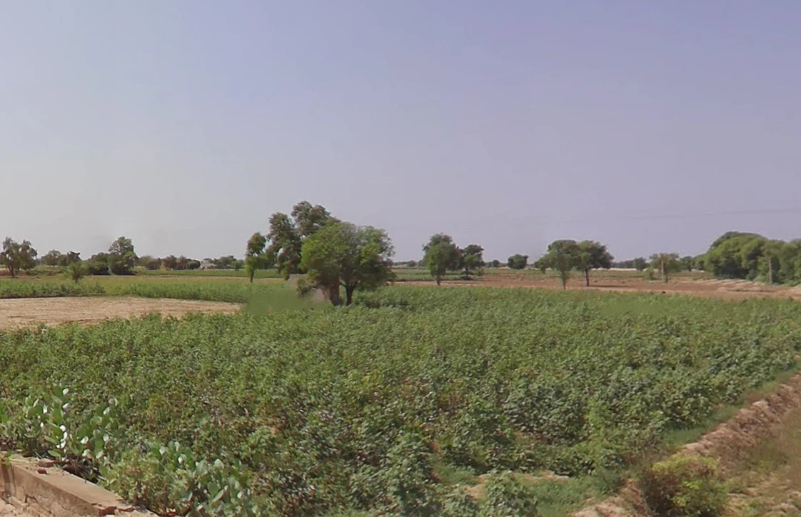 Ellenabad, Sirsa, Haryana 125055, India