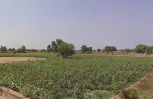 Ellenabad, Sirsa, Haryana 125055, India preview 3