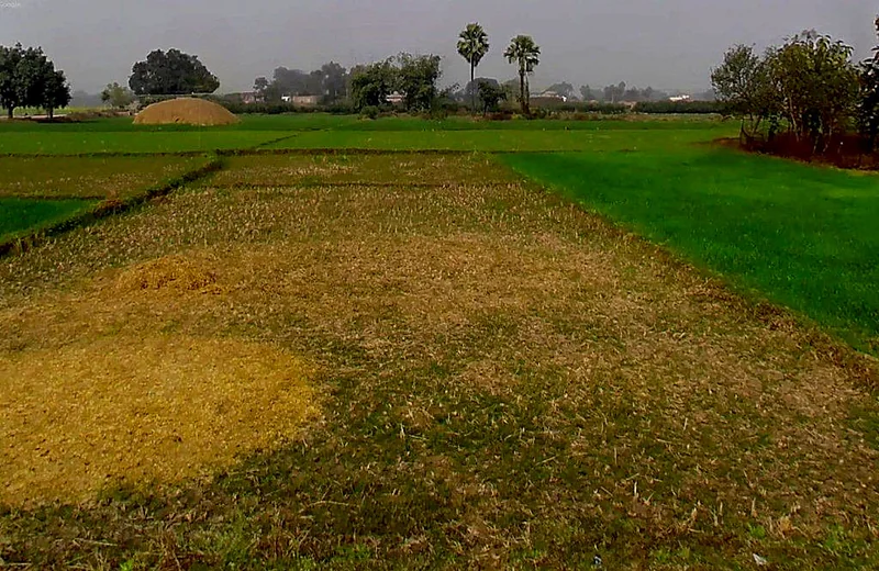 Anandgaon, Chhattisgarh 491332, India preview 3