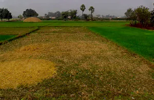 Anandgaon, Chhattisgarh 491332, India preview 3