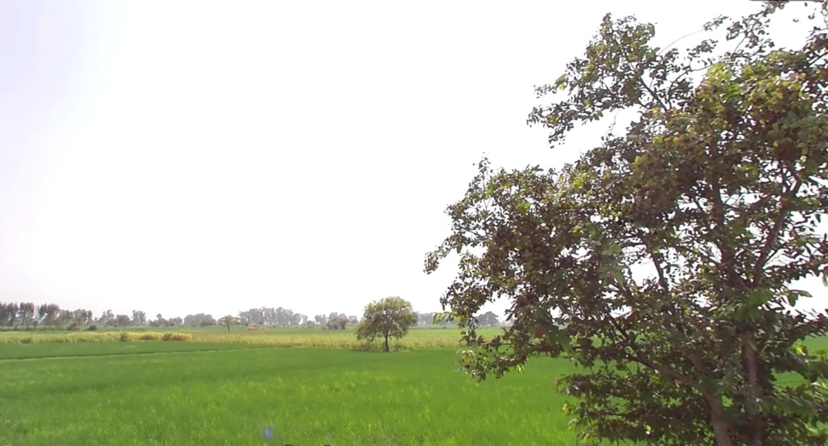 Khemana, Madhya Pradesh 452016, India