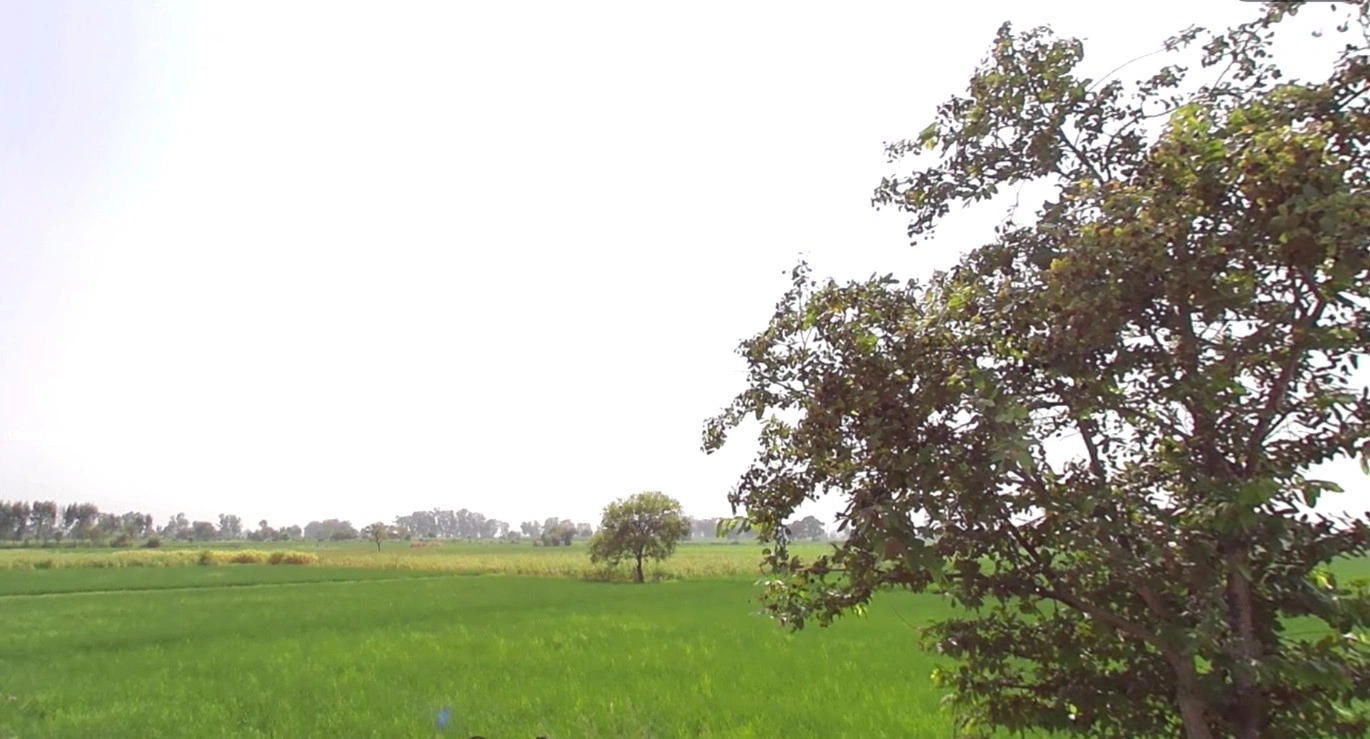 Khemana, Madhya Pradesh 452016, India