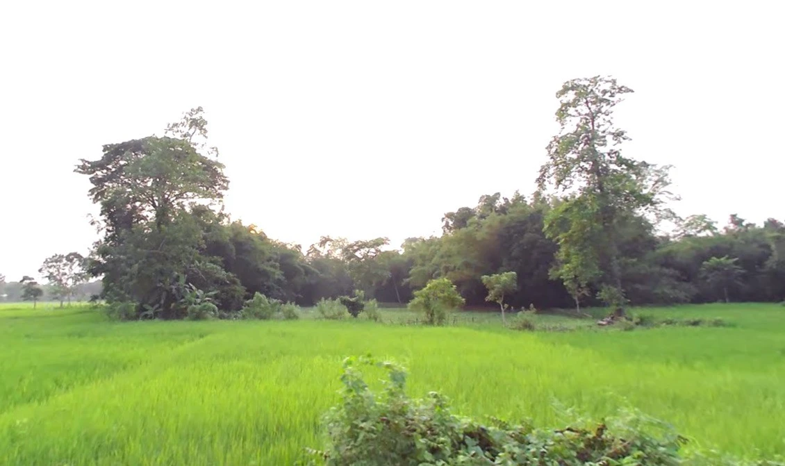 Shajapur, Madhya Pradesh 465001, India
