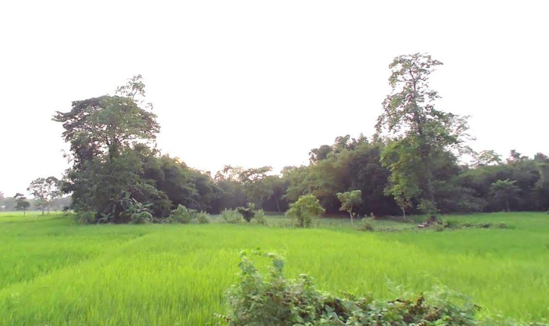 Shajapur, Madhya Pradesh 465001, India