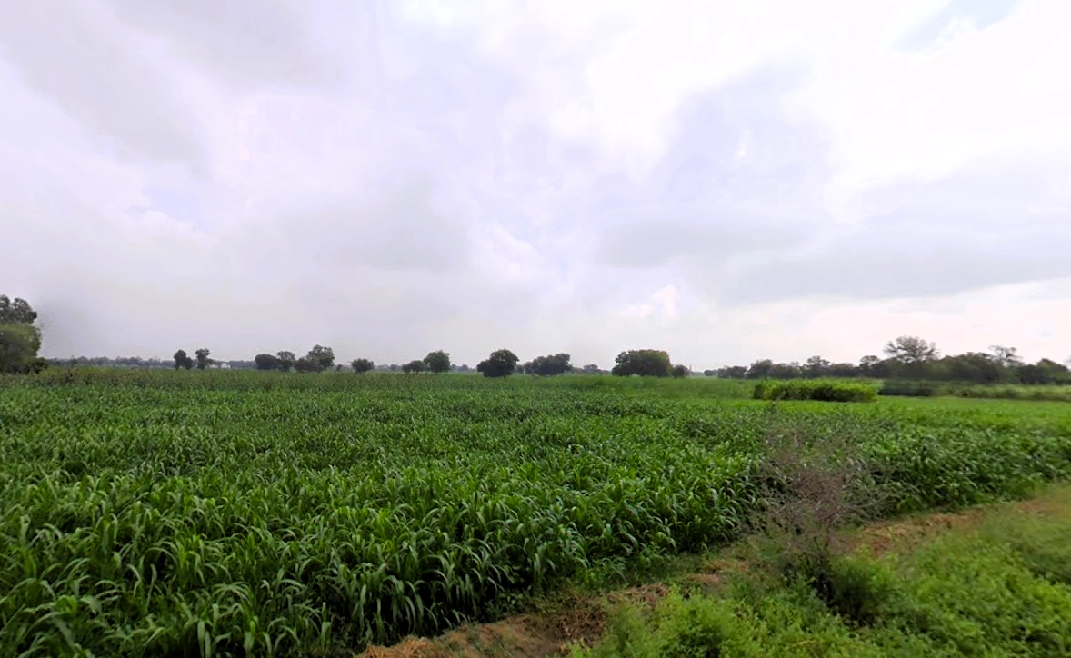 Tosham, Haryana 127040, India