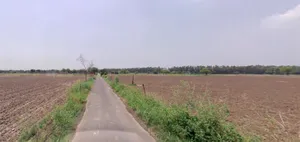 Hansi, Haryana 125033, India preview 4