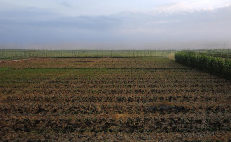Kherkheda, Madhya Pradesh 455336, India