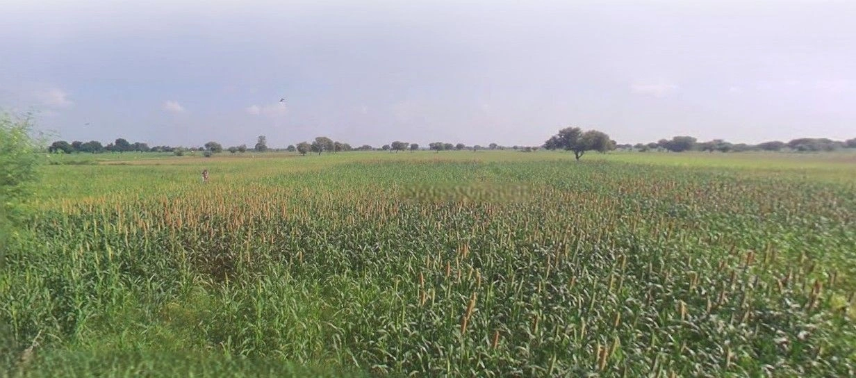 Badli, Haryana 124105, India