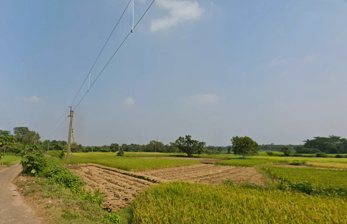 Duttapukur - Nilganj Rd, Kashim Pur, Duttapukur, Gangapur, Shibalaya, West Bengal 743248, India