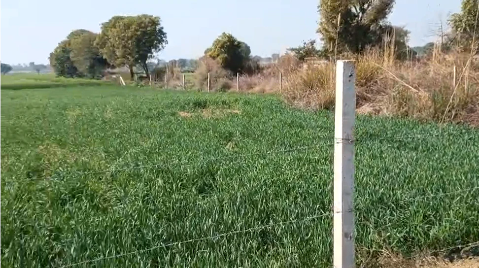 RP8J+9Q9, Khairthal-Tijara, Kishangarh Bas, Kishangarh, Rajasthan 301405, India