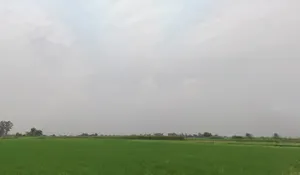 Katani Kalan, Punjab 141113, India preview 2