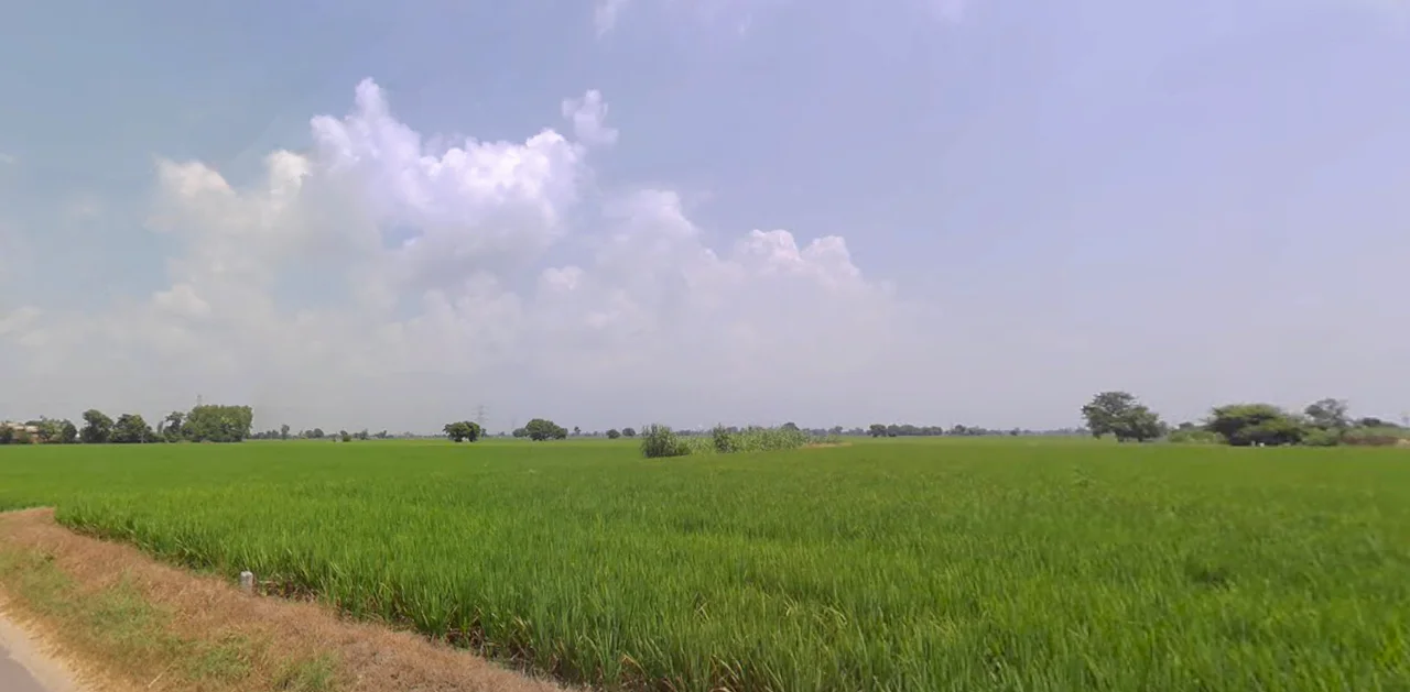 Mallian, Punjab, India preview 3