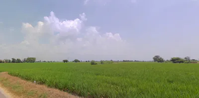 Mallian, Punjab, India preview 3