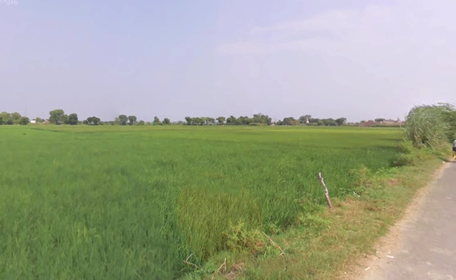 Behat, Uttar Pradesh 247121, India