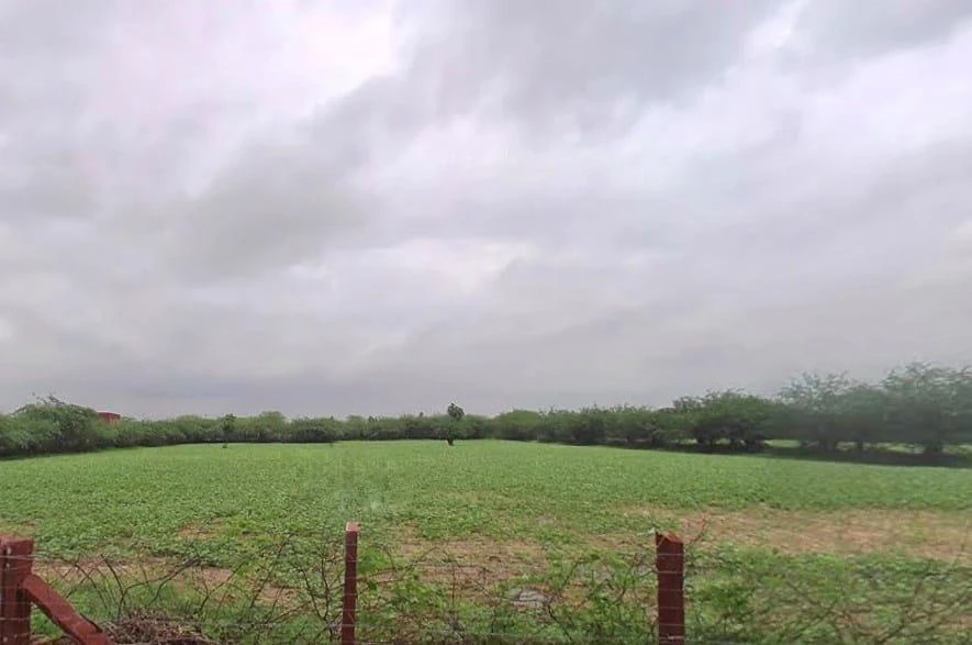 Keerwa, Rajasthan 306422, India