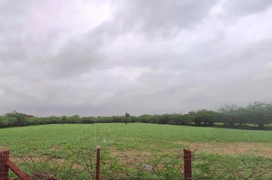 Keerwa, Rajasthan 306422, India