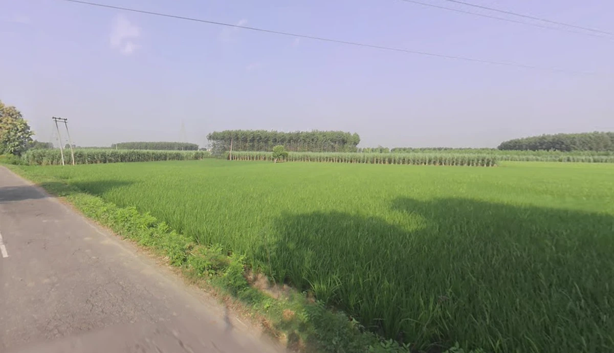 56M7+696, Yamuna Nagar, Haryana 133103, India