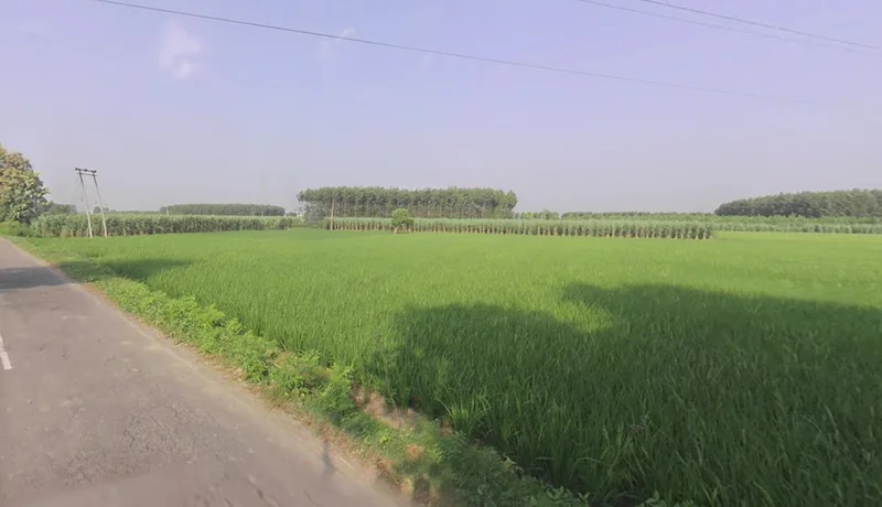 56M7+696, Yamuna Nagar, Haryana 133103, India preview 3