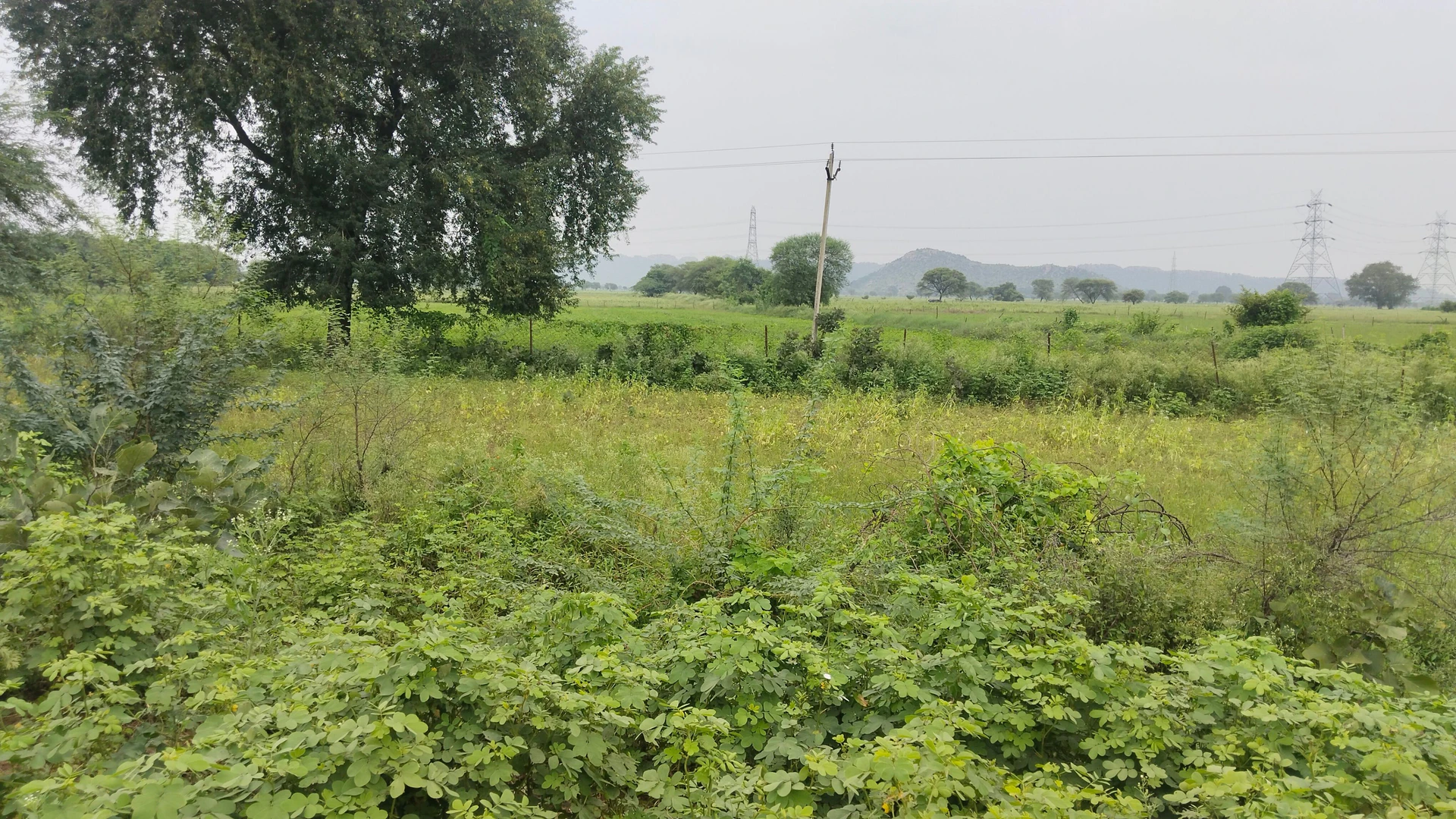 Bamhauri, Jhansi, Uttar Pradesh 284204, India