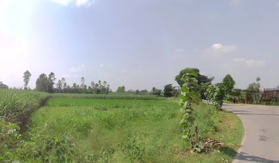 Dehradun Rd, Biharigarh, Uttar Pradesh, India