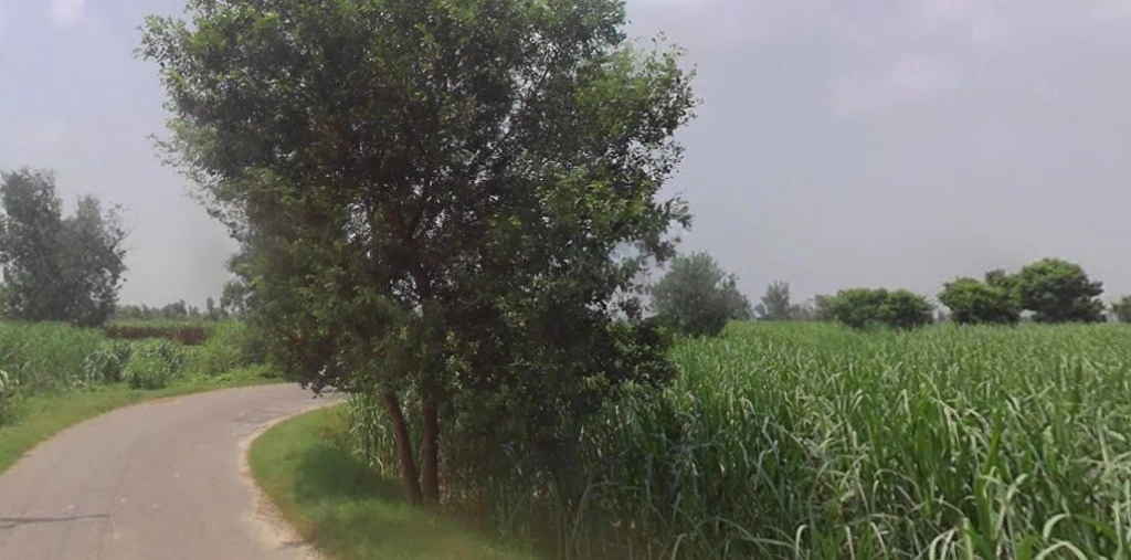 Kashipur, Uttar Pradesh, India