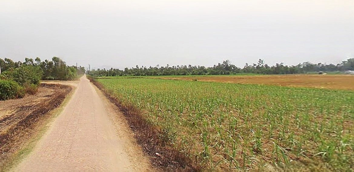 Ramnagar, Uttarakhand 244715, India