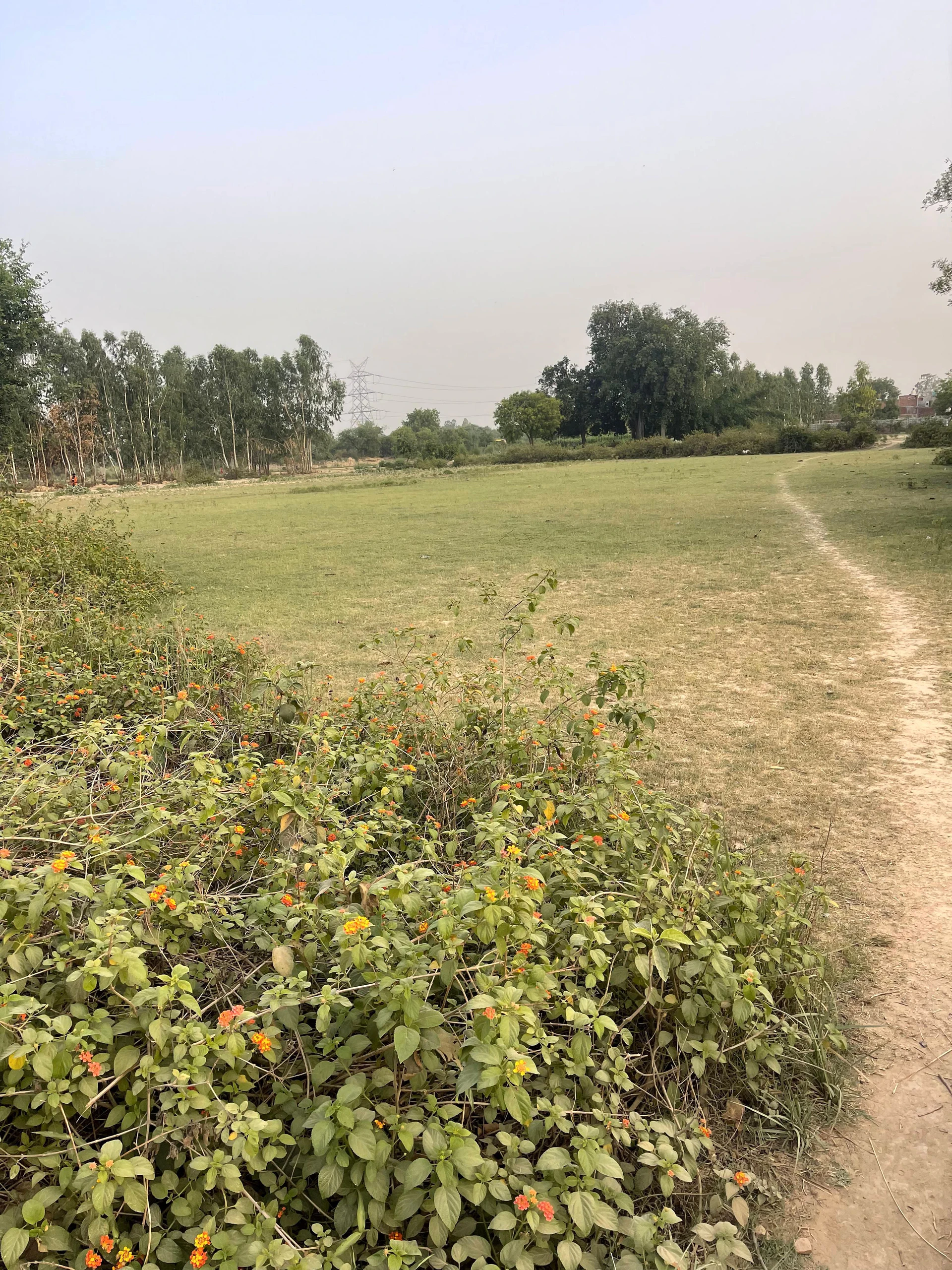 Sandila, Uttar Pradesh 241204, India